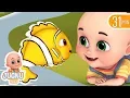 Download Lagu मछली जल की रानी है  - Hindi Rhymes | Hindi kahani | Nursery Rhymes from jugnu Kids