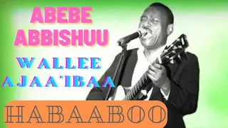 Abebe Abbishuu Habaaboo Goree Oromo Music 