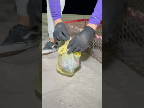 Olha o que tinha dentro dessa sacola na praia