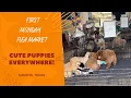 First Monday Flea Market Canton Texas Dogs Section Cute Puppies Everywhere