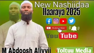 New Nashiidaa Abdoosh Aliyyii Haala Yeroo Ammaa Irratti 