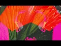Download Lagu Drum Dance - Zani! (music video)