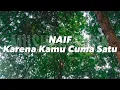 Download Lagu Naif - Karena Kamu Cuma Satu (Lirik)