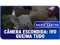 Download Lagu Câmera Escondida: Ivo Queima Tudo