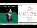 Visual3D Tutorial Importing C3D files and performing batch analysis