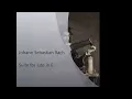 Johann Sebastian Bach - Suite for lute in E (BWV 1006)