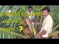 Download Lagu Toddy tapping method in kerala  ( coconut tree)
