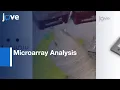Microarray Analysis For Saccharomyces cerevisiae l Protocol
