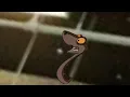 Disney s Once Upon a Studio Jungle Book Kaa Falling Out Of Tree Scene