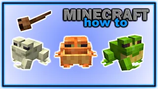 Everything About Frogs and Tadpoles in Minecraft 1 19 Easy Minecraft Tutorial