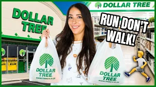 50 NEW Dollar Tree Finds You NEED to See