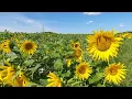 2022 omgeving Givry en Argonne Frankrijk