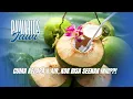 Download Lagu PAWARTOS JAWI | RAHASIA LISAH KELAPA ENAK! 😲 Cuma Pakai Cara Tradisional, Rasanya Bikin Nagih!