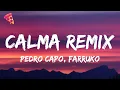 Download Lagu Pedro Capó, Farruko - Calma Remix