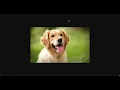 Code org Event-Driven Programming Lesson 1