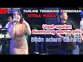 Lagu UGAL-UGALAN KEMBANG WARNA PITU FULL ALBUM CITRA NADA std musik.mp4