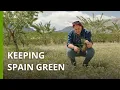 Download Lagu Meet the farmers in southeastern Spain fighting desertification