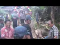 Download Lagu Karungut // Digeng \