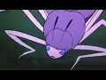 Charlotte roasted templeton