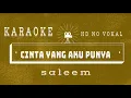 Download Lagu Cinta Yang Aku Punya || Saleem || KARAOKE HD No Vokal Suara Jernih