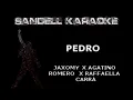 Agatino Romero x Jaxomy x Raffaella Carrà - Pedro [Karaoke]
