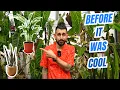 Before Instagram The Secret History of Houseplant Obsession
