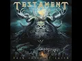 Rise Up - Testament