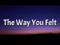 Download Lagu Alec Benjamin - The Way You Felt (Acoustic) (Lyrics)
