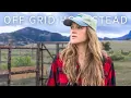 An Average Day in the Life Homestead in the making