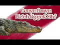 Download Lagu Apakah Buaya Punya Lidah?