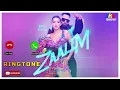 ZAALIM❤‍🔥 ringtone❤‍🔥🎵| Badshah, Nora Fatehi | Payal Dev | skyhelper
