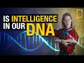 How Your Genetics Shape Creativity and Intelligence