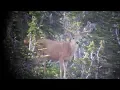 Good Backpack Trip for Bucks - MonsterMuleys com