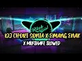 DJ Chori Sonia X Emang Enak X Milkshake Slowed
