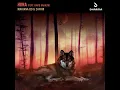 Huna (feat. Ravid Kahalani)