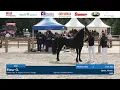 Download Lagu CK 2025 | Four year and older mares and Championships | 13th of September 2025