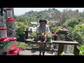 How to Make Hummingbird Nectar Recipe FOOD DIY PERFECT for Feeder to Attract Hummingbirds FAST/EASY