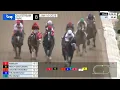 Gulfstream Park January 10 2026 Race 8