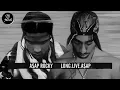 A$AP Rocky, Drake, 2 Chainz & Kendrick Lamar “F**kin’ Problems” - 2Pac (Remix)