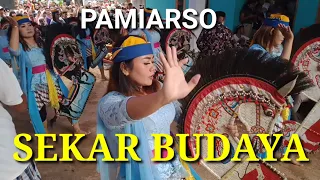 Download SEKAR BUDAYA - PAMIARSO Live:SOMAWANGI Munthang MP3