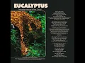 Eucalyptus