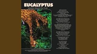 Download Eucalyptus MP3