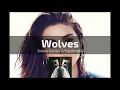 Selena Gomez, Marshmello - Wolves [Mp3 Download]