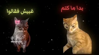 ضحكت فقالوا الا تحتشم اكسبلور نشيد قصيدة تصميم فيديوهات 