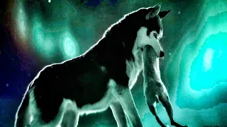 the call of the wild 2020 film explained in hindi urdu call of wild story summarized