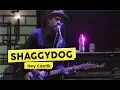 Shaggydog - Hey Cantik (Live at THE BIG START BLIBLI.COM)