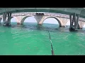 Tarpon comes up for a look