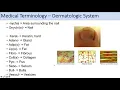 Medical Terminology Lesson 10 Skin and Skin Conditions Dermatology