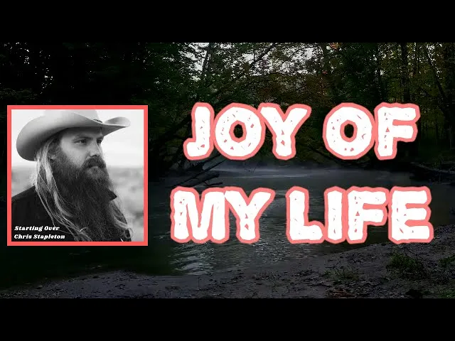Chris Stapleton - Joy of My Life (Lyrics)