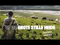 Lagu Op de grote stille heide | Instrumentaal | Nederlandse Volksliedjes